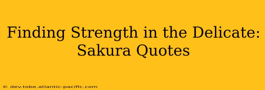 Finding Strength in the Delicate: Sakura Quotes