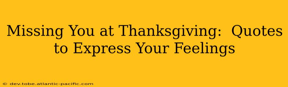 Missing You at Thanksgiving:  Quotes to Express Your Feelings